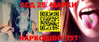 прущие грибы Анапа