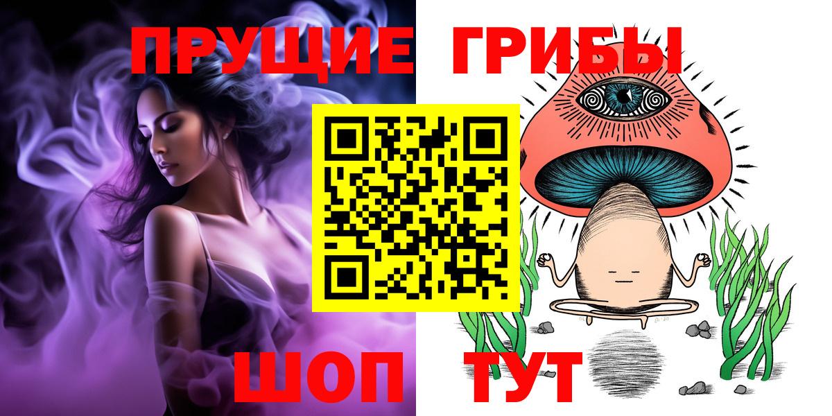 Галлюциногенные грибы прущие грибы  Вход с VPN  Псилоцибиновые грибы Psilocybe  Сокол 