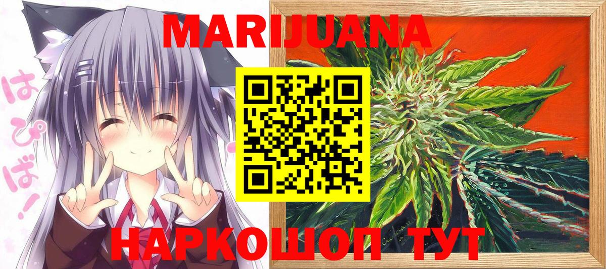 Конопля гибрид Сокол